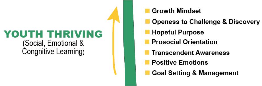Infographic titled "Youth Thriving" with focus on social, emotional, and cognitive learning. Lists elements like growth mindset, openness to challenge, hopeful purpose, prosocial orientation, transcendent awareness, positive emotions, and goal setting. A yellow arrow points upward, symbolizing progress.