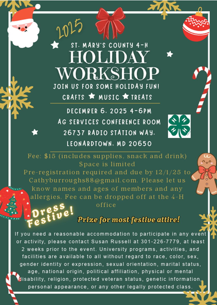 Holiday Workshop