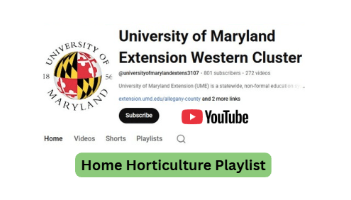WMD Home Horticulture You Tube Link Image