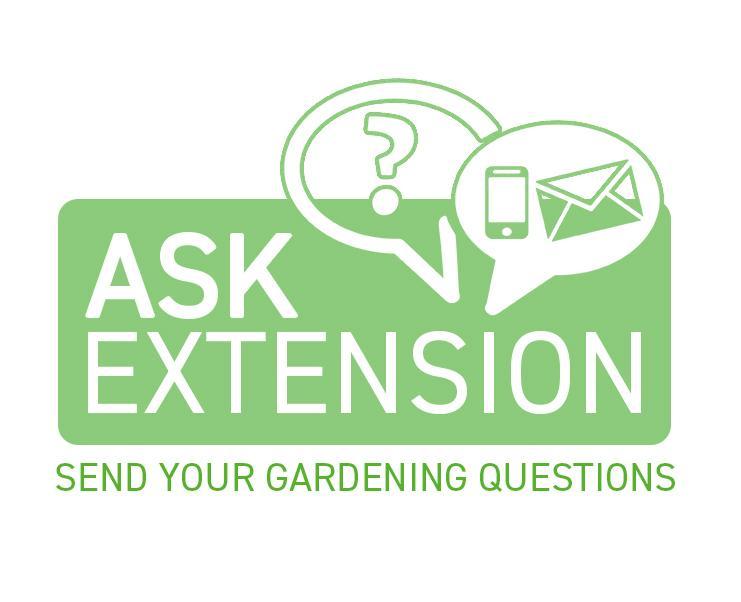 Ask Extension - Send your Gardening Questions Graphic 