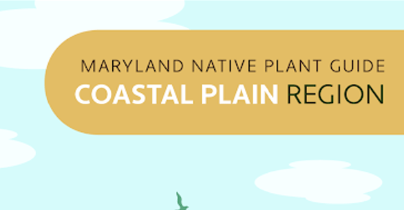 MD Native Plant Guide Coastal Plain Small vf