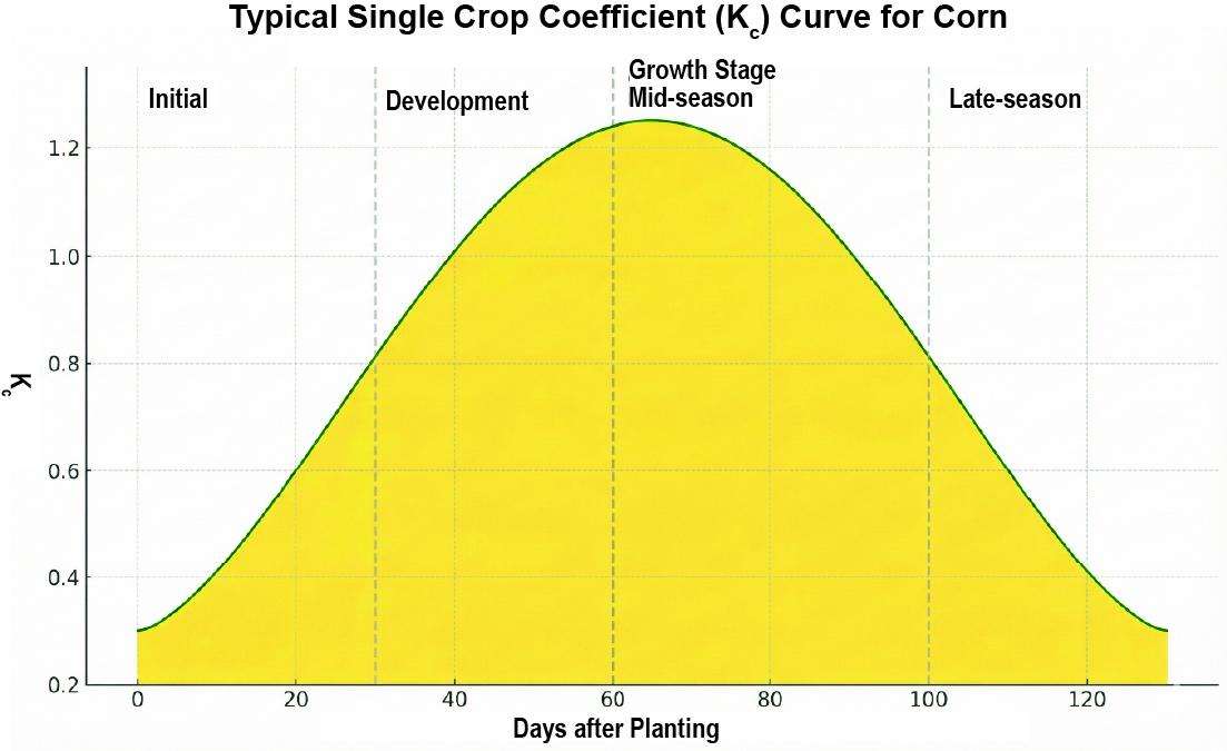 A line graph illustrating the typical single crop coefficient (Kc) curve for corn over time, measured in days after planting. The curve starts around Kc = 0.3, increases through the development stage, peaks near Kc = 1.25 at mid-season (around day 65), and declines during the late season. The yellow shaded area under the curve represents Kc values across the crop's growth stages: Initial, Development, Mid-season, and Late-season, marked by vertical dashed lines.
