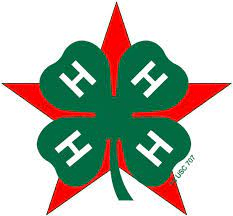 AAC All Stars Logo, 4-H Clover over 5 point red star