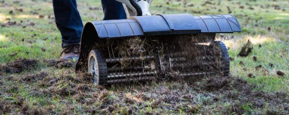 Dethatching machine with rotating metal combs pulling thatch roughly out of a lawn. Clumps of dark thatch and ripped-up tufts of grass surround the machine.