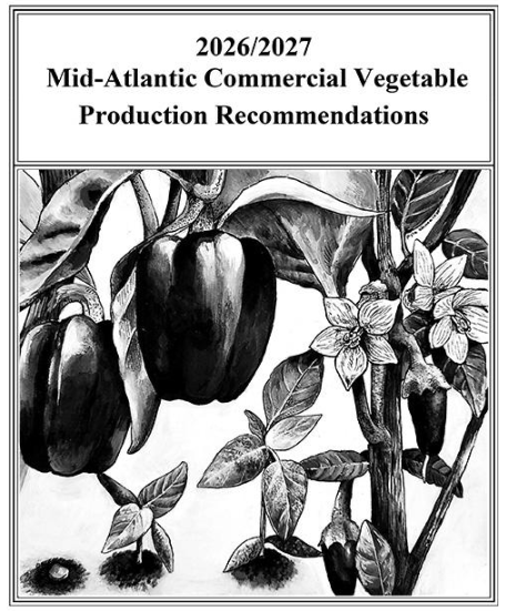 2026-2027 Mid-Atlantic Commercial Vegetable Production Recommendations