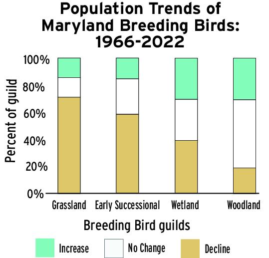 bar chart with 4 bars reflects percent increases and decreases in different bird group populations between 1966 to 2022 in Maryland.