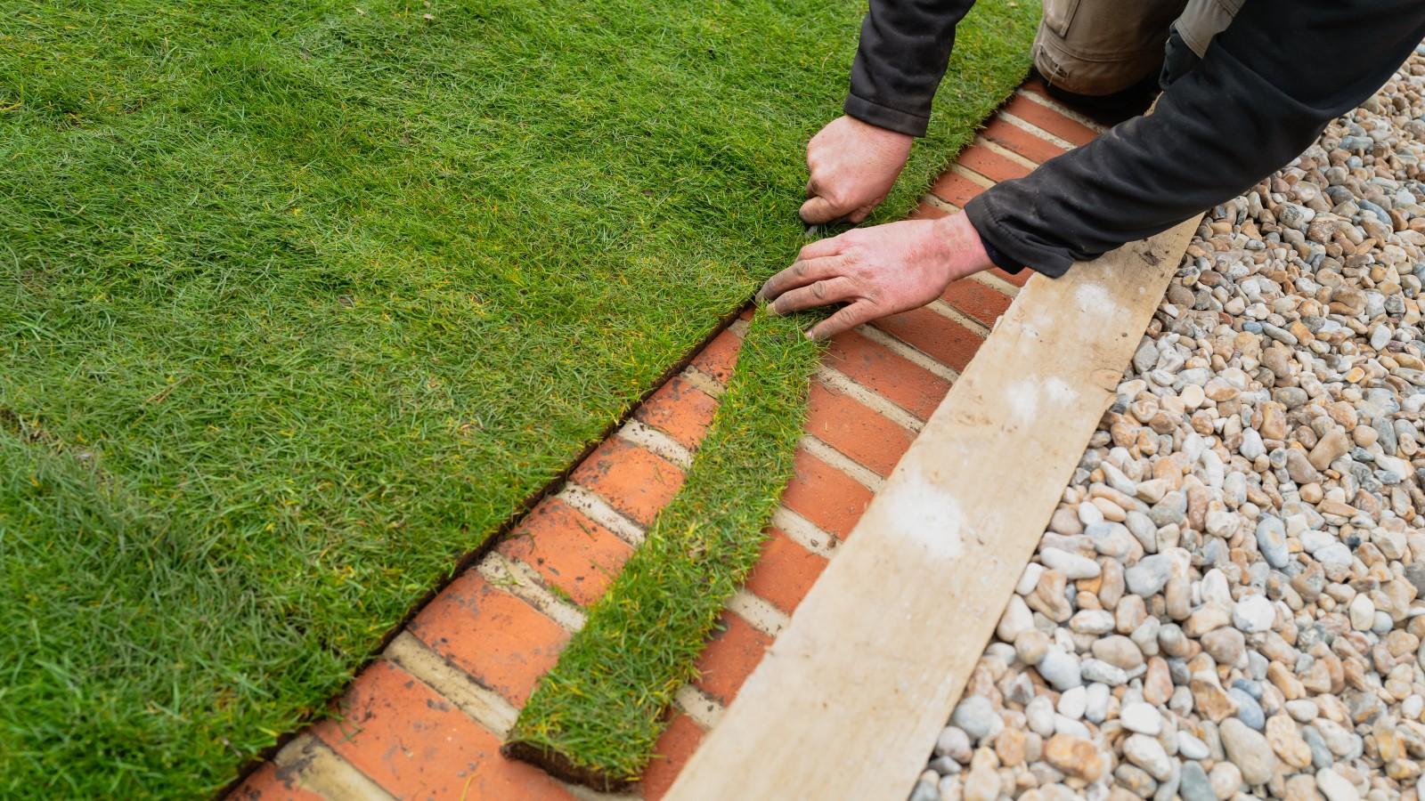 A person slices through the edge of a roll of sod to align it with brick edging after laying the sod down in a new lawn area.