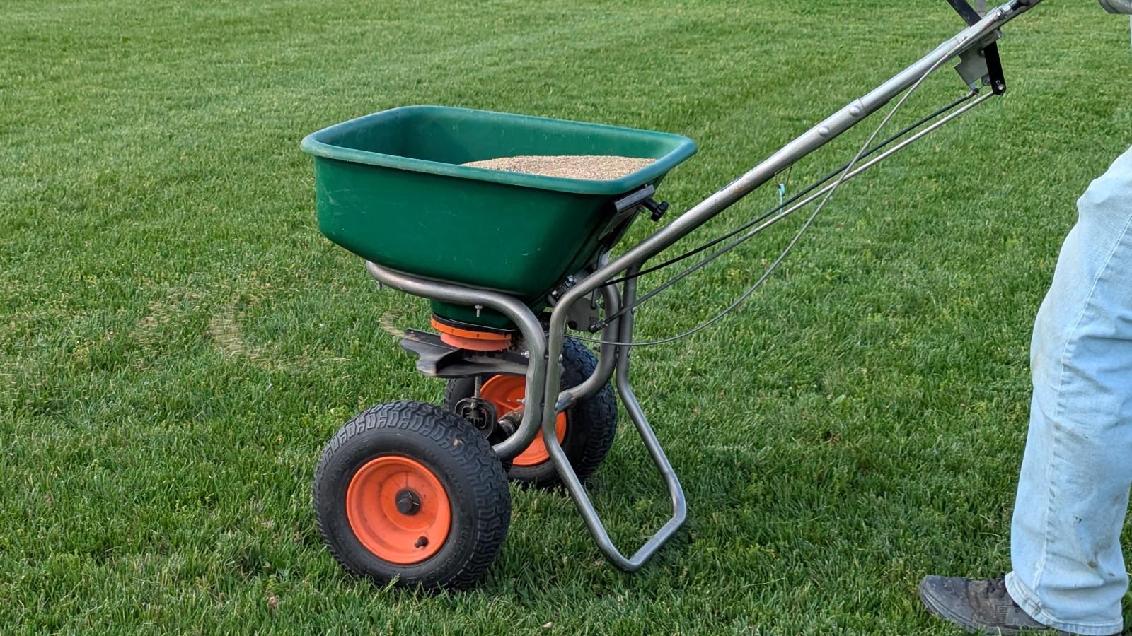 A person pushing a broadcast spreader depositing grass seed over an established lawn.