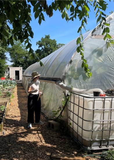 A person wearing a wide-brimmed hat stands on a wood‑chip path beside a large, tunnel‑shaped greenhouse covered in translucent plastic. The person is holding a notebook or papers and is positioned next to a large white water tank with a hose connected to the greenhouse wall. Raised garden beds filled with leafy plants line the path on the left. In the background, there is a small shed, more vegetation, and tall trees under a bright blue sky. Overhanging branches frame the top of the scene.