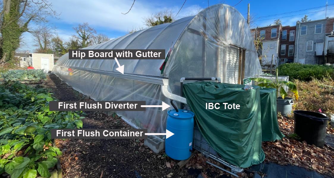A long, plastic‑covered greenhouse stands beside a garden bed under a blue sky. Labels in the image point to a gutter along the side, a blue first‑flush diverter and container, and a covered IBC tote positioned near the greenhouse entrance. Several row houses and bare trees appear in the background.