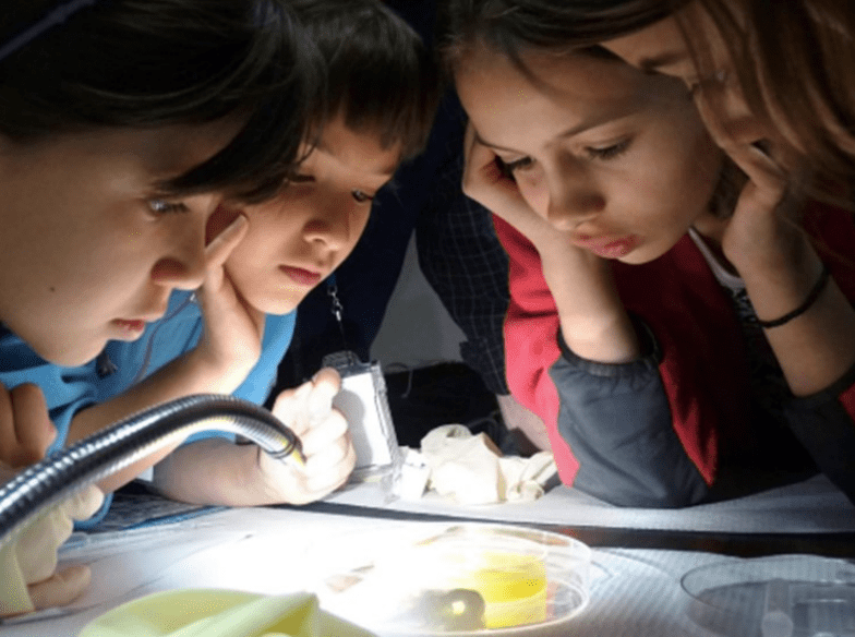 Four children leaning over a table to examine a small sample in a clear dish, illuminated by a flexible lamp, all appearing focused and curious in a hands‑on science activity.