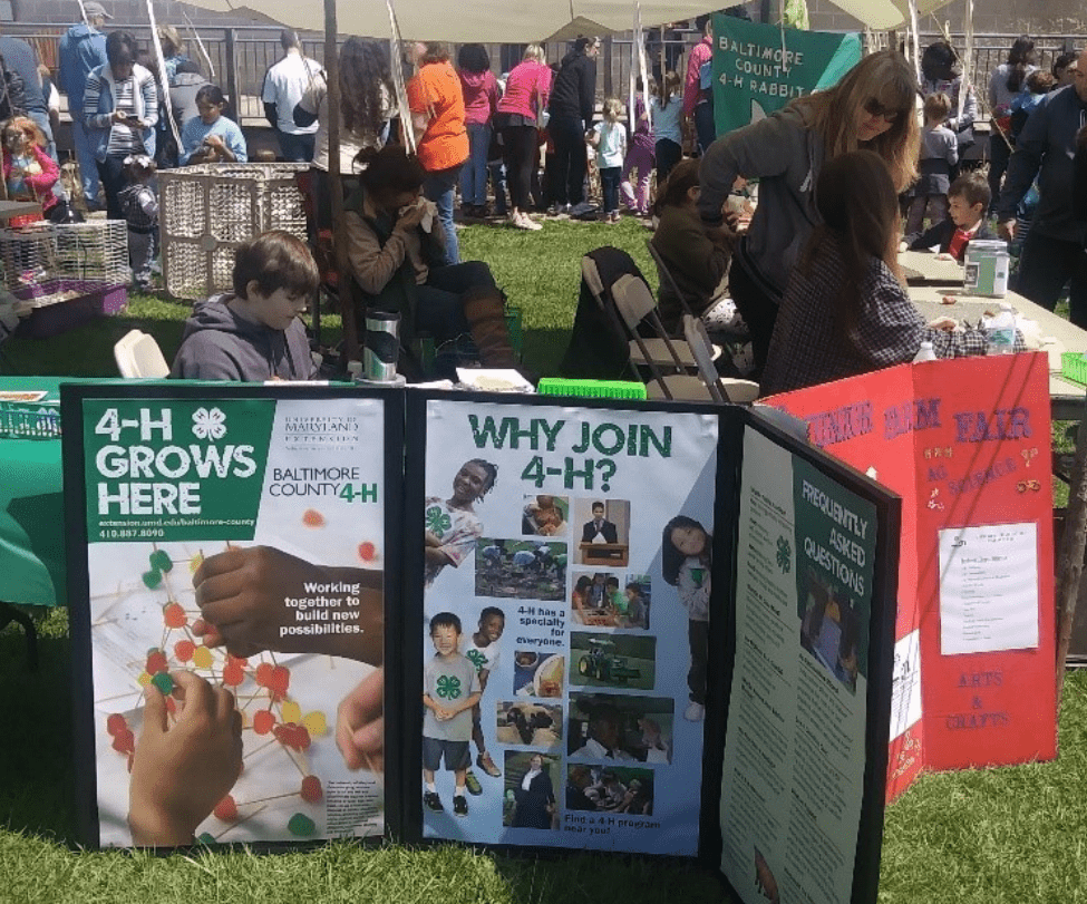 Outdoor community event with multiple information tables and families gathered on a grassy lawn under shade tents. In the foreground, three display boards promote Baltimore County 4‑H, including a sign that reads “4‑H grows here,” a poster titled “Why join 4‑H?” with photos of children and activities, and a panel with frequently asked questions. Nearby, children and adults sit and stand around craft tables. In the background, more families interact with animals and exhibits.