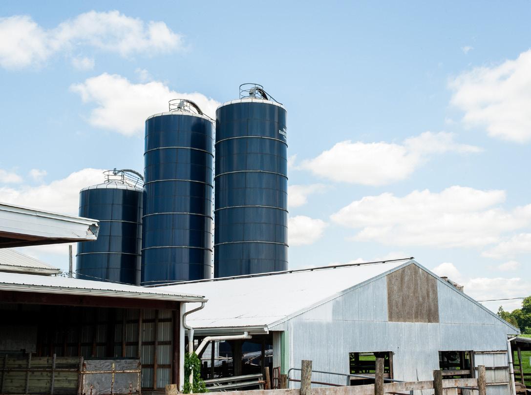 A farm scene featuring three tall blue metal silos with ladders and railings, standing behind a large barn-like structure made of corrugated metal and wood. The sky above is bright blue with scattered white clouds.