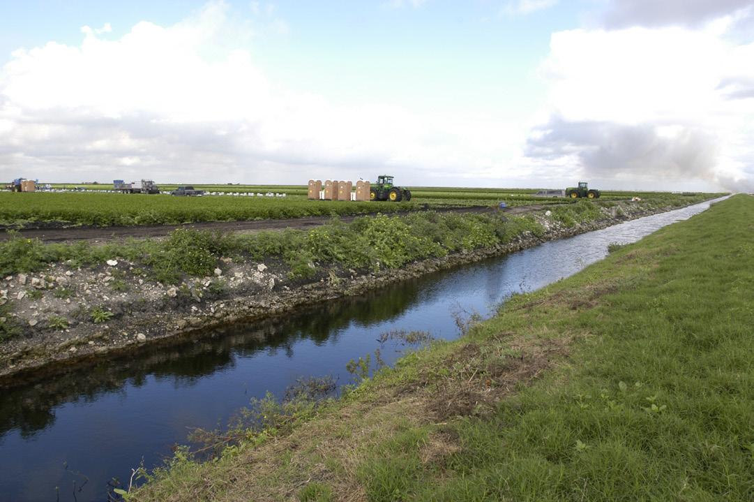 A wide agricultural field with orderly rows of crops stretches into the distance, bordered in the foreground by a water‑filled irrigation canal with grassy banks. Several tractors and portable toilets line a dirt farm road beside the field under a partly cloudy sky.