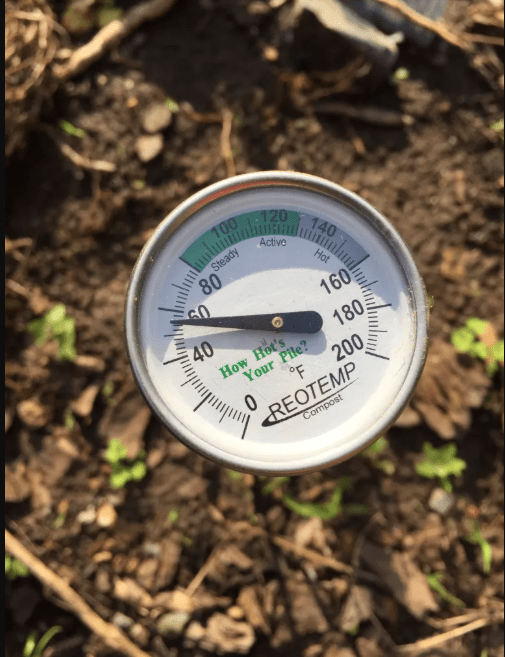 Soil thermometer in a garden reading a temperature of 50 degrees Fahrenheit