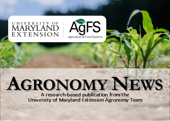 Banner image showing a row crop field with young green plants emerging from soil in the background. Overlaid text reads “Agronomy News” with a subtitle, “A research-based publication from the University of Maryland Extension Agronomy Team.” The University of Maryland Extension and AgFS (Agriculture & Food Systems) logos appear at the top.