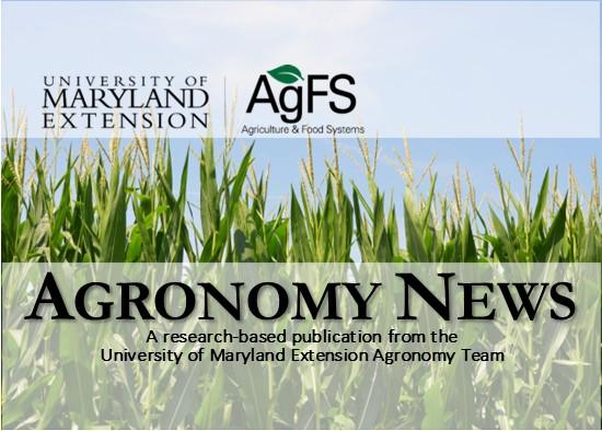 University of Maryland Extension Agronomy News cover featuring a cornfield background, the University of Maryland Extension and AgFS logos, and the title “Agronomy News: A research-based publication from the University of Maryland Extension Agronomy Team.”