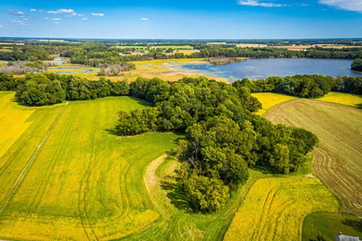 Aerial view of landscape showing part of river or lake, area planted to conservation wetland and trees, and area planted to row crops