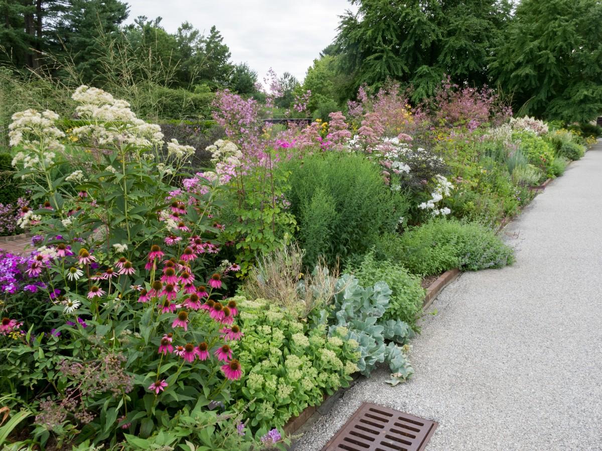 A lush perennial border in bloom containing many different species having varied flower colors, growth habits, and mature heights.