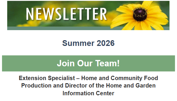 Thumbnail of summer 2026 newsletter content.