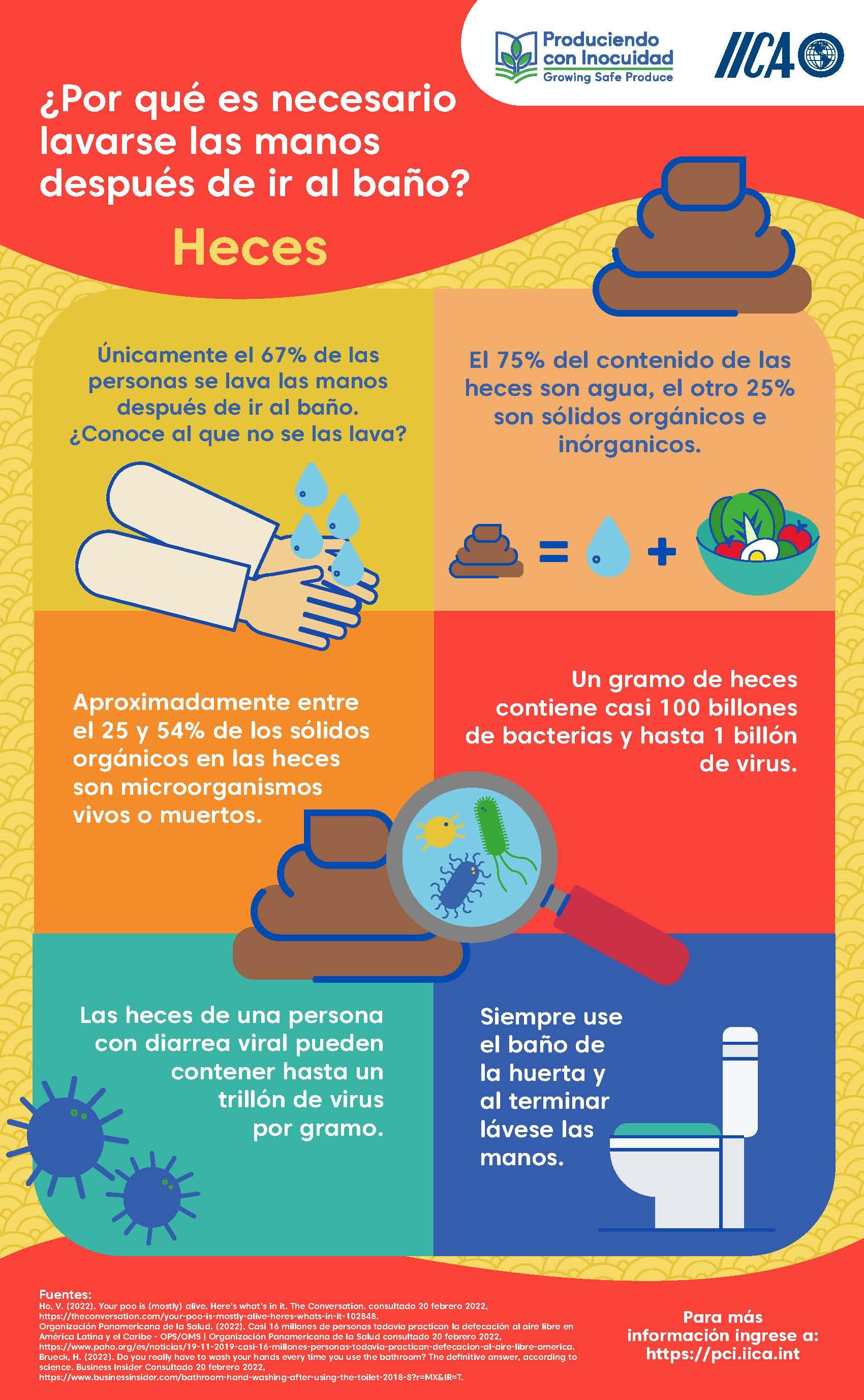 Infografía en español sobre la importancia de lavarse las manos después de usar el baño, explicando que las heces pueden contener bacterias, virus y otros microorganismos, con ilustraciones de manos, heces, gérmenes y un inodoro.
