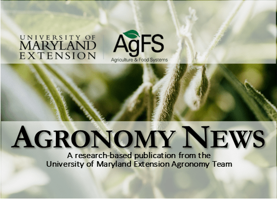 University of Maryland Extension Agronomy News newsletter banner featuring soybean plants in the background, University of Maryland Extension and Agriculture & Food Systems logos, and the title "Agronomy News."