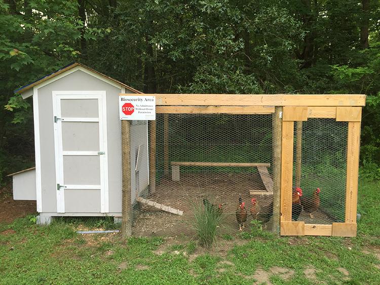 Small, backyard poultry biosecurity area showing a gray and white enclosed coop attached to a wooden-framed outdoor run made of wire mesh. A group of red-combed chickens stands inside the fenced run on bare ground with scattered grass. The setup is located at the edge of a wooded area with green trees and vegetation in the background. A white sign mounted on the front corner of the coop reads “Biosecurity Area” and includes a red STOP symbol with the message “No Admittance Without Owner Permission.” 