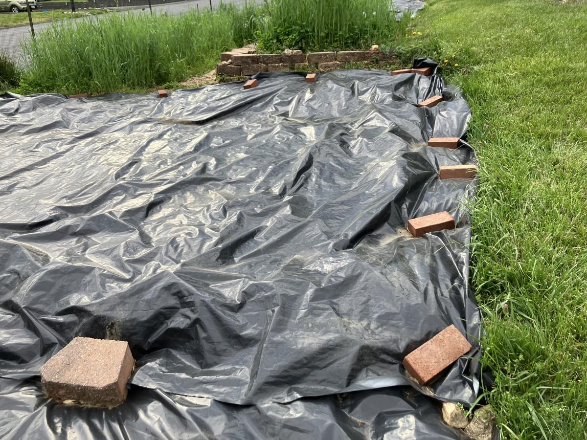 A black plastic tarp weighed-down with bricks along the edges covers a vegetable planting bed.