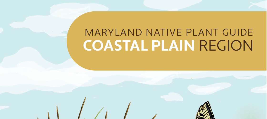 MD Native Plant Guide Coastal Plain Cover