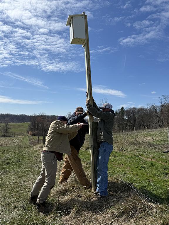 Three men install an American kestrel box at the CMREC research farm