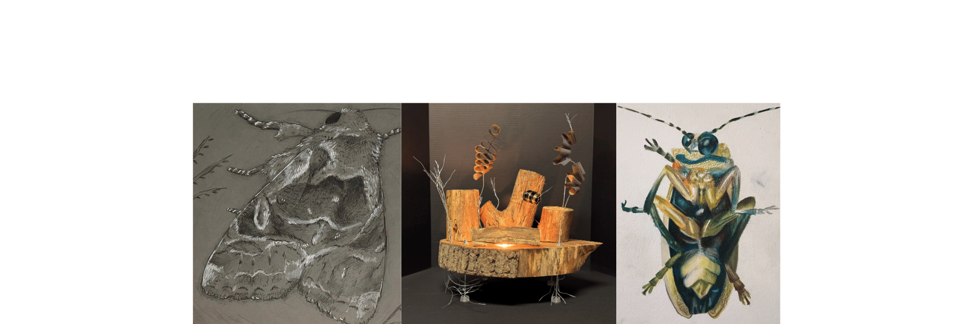 Photos of three visual art pieces submitted to the Another Look, Another World Exhibition. 